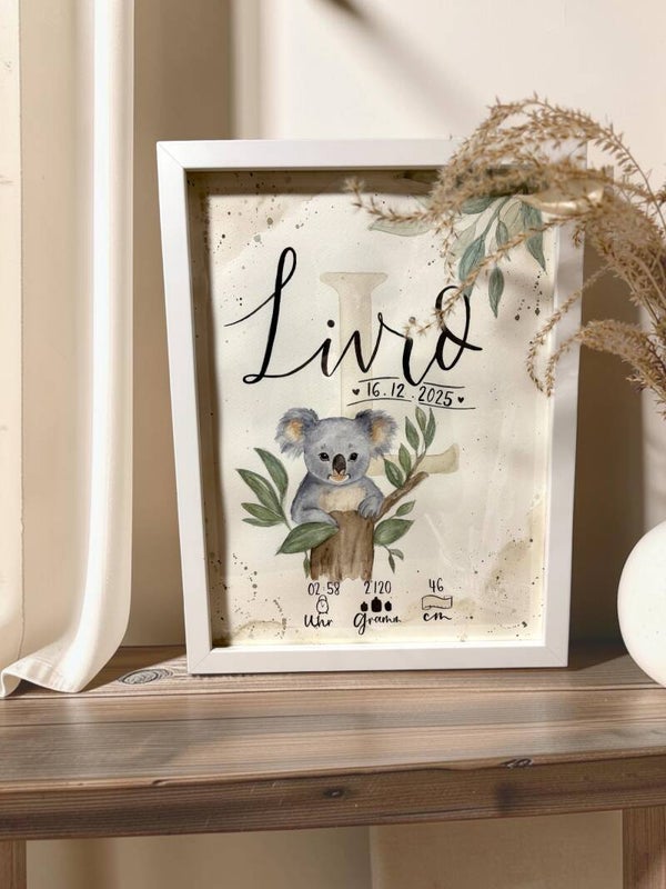 Baby Biud "Koala"