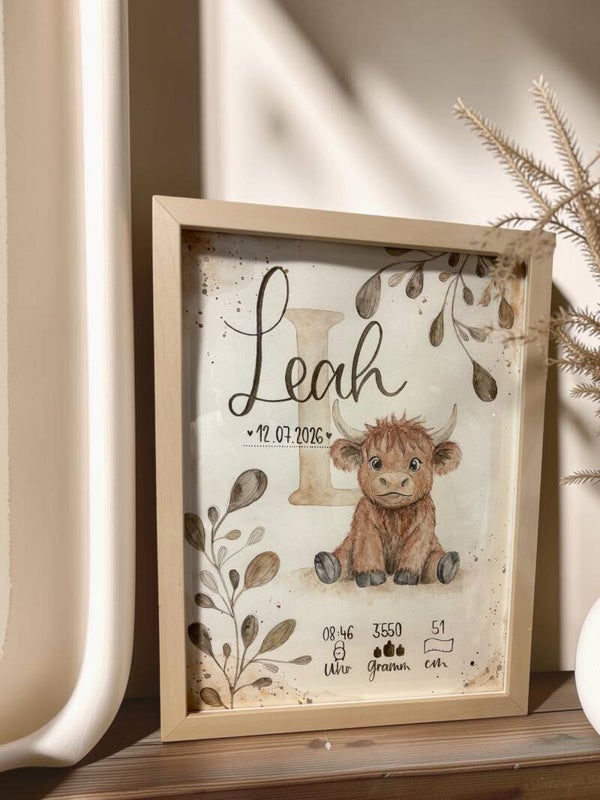 Baby Biud "Hochlandrind"