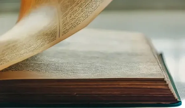 Flour Power: Tales from the Dough Side