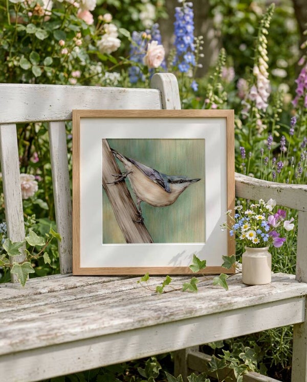 Sittelle torchepot, impression d'art