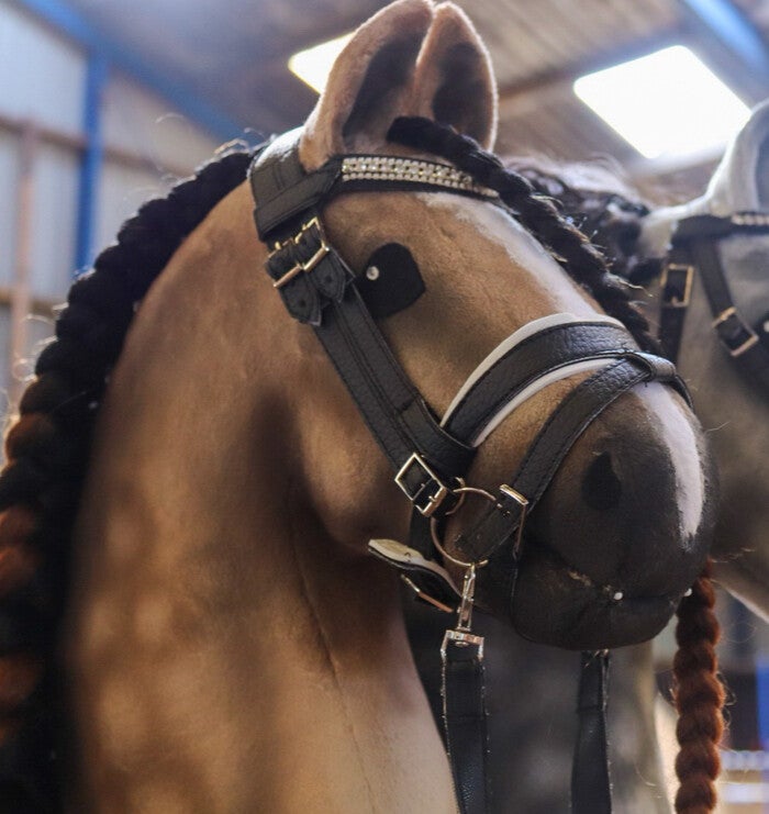 Dressage bridle