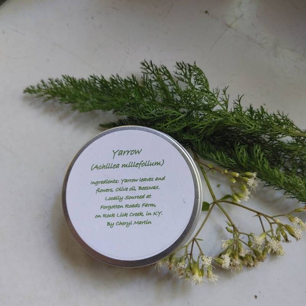 Yarrow Balm (Achillea millefolium)