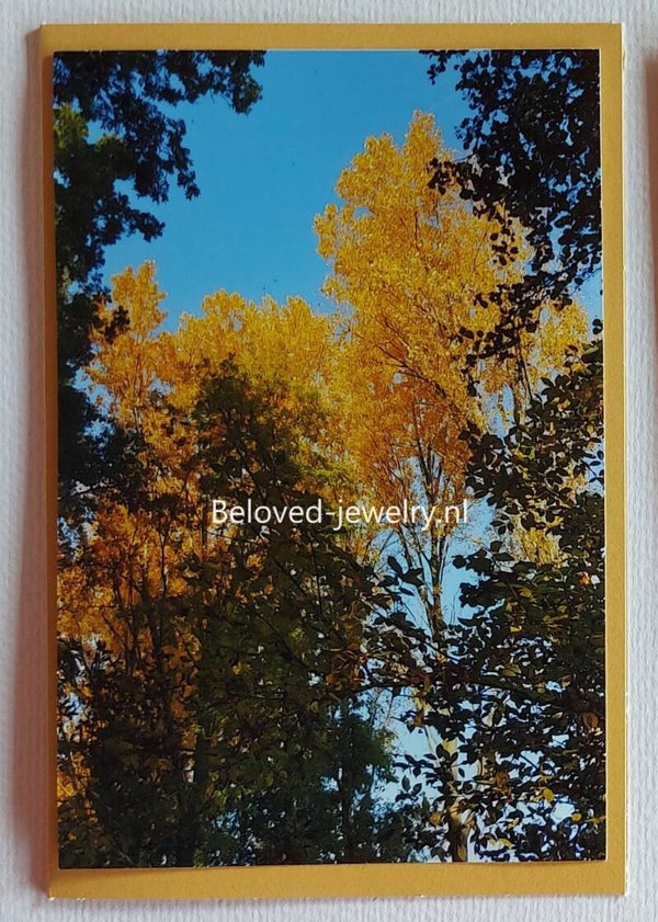 Fotokaart 19069 - Gouden Bomen - Overtuin te Haastrecht - geel