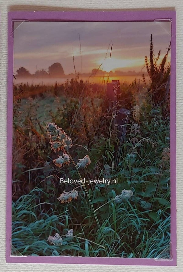 Fotokaart 19077 - zonsopgang - grashalm - Lila - Haastrecht / Gouda