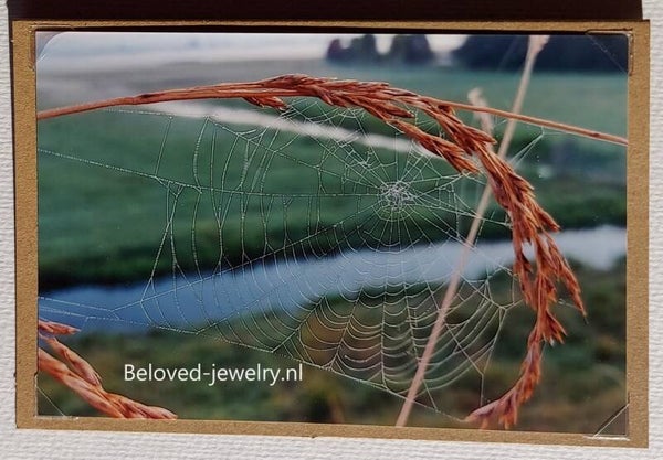 Fotokaart - weiland - graanhalm met spinnenweb - naturel