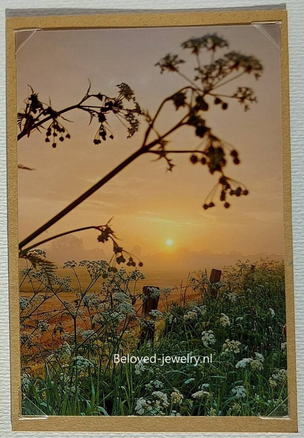 Fotokaart - zonsopgang - fluitekruid - weiland - naturel