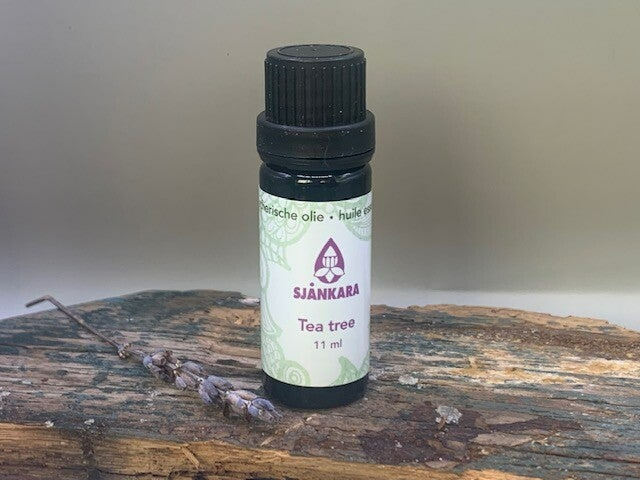 Tea Tree ( Melaleuca Alternifolia )