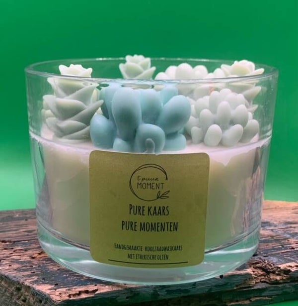 kaars in glas 400ml, cactussen