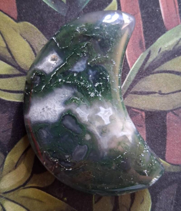 Tree Agate Moon Crystal Palm Stone