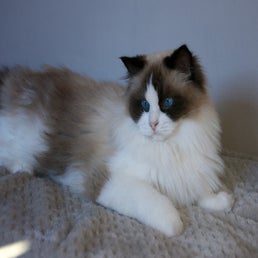 _dsc4812.jpeg