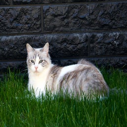 _dsc5066-2.jpeg