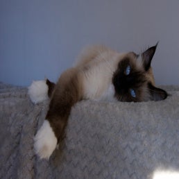 _dsc4953-1.jpeg