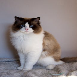 _dsc4762-1.jpeg