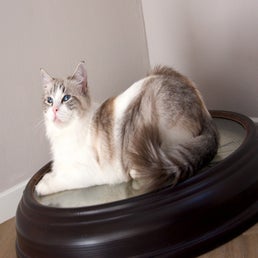 _dsc4778-1.jpeg