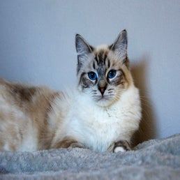 _dsc4968.jpeg
