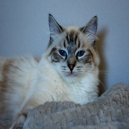 _dsc5015-1.jpeg