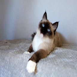 _dsc4927-2.jpeg