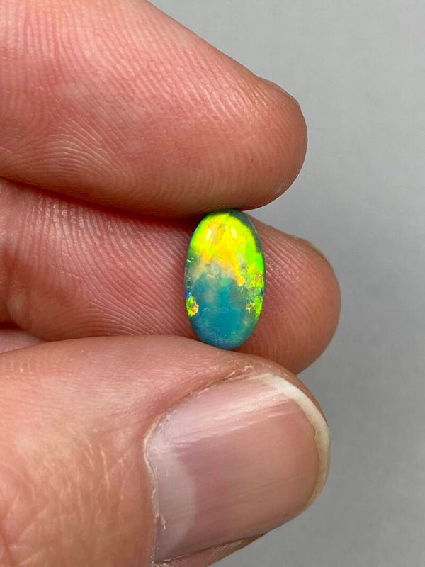 Black Opal CCP577