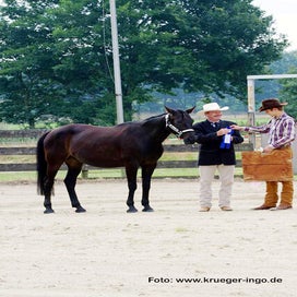ikr-2012-08_115328_1-standard.jpg