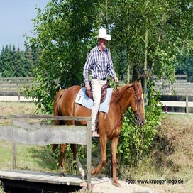 ikr-2012-08_115861_1-standard.jpg