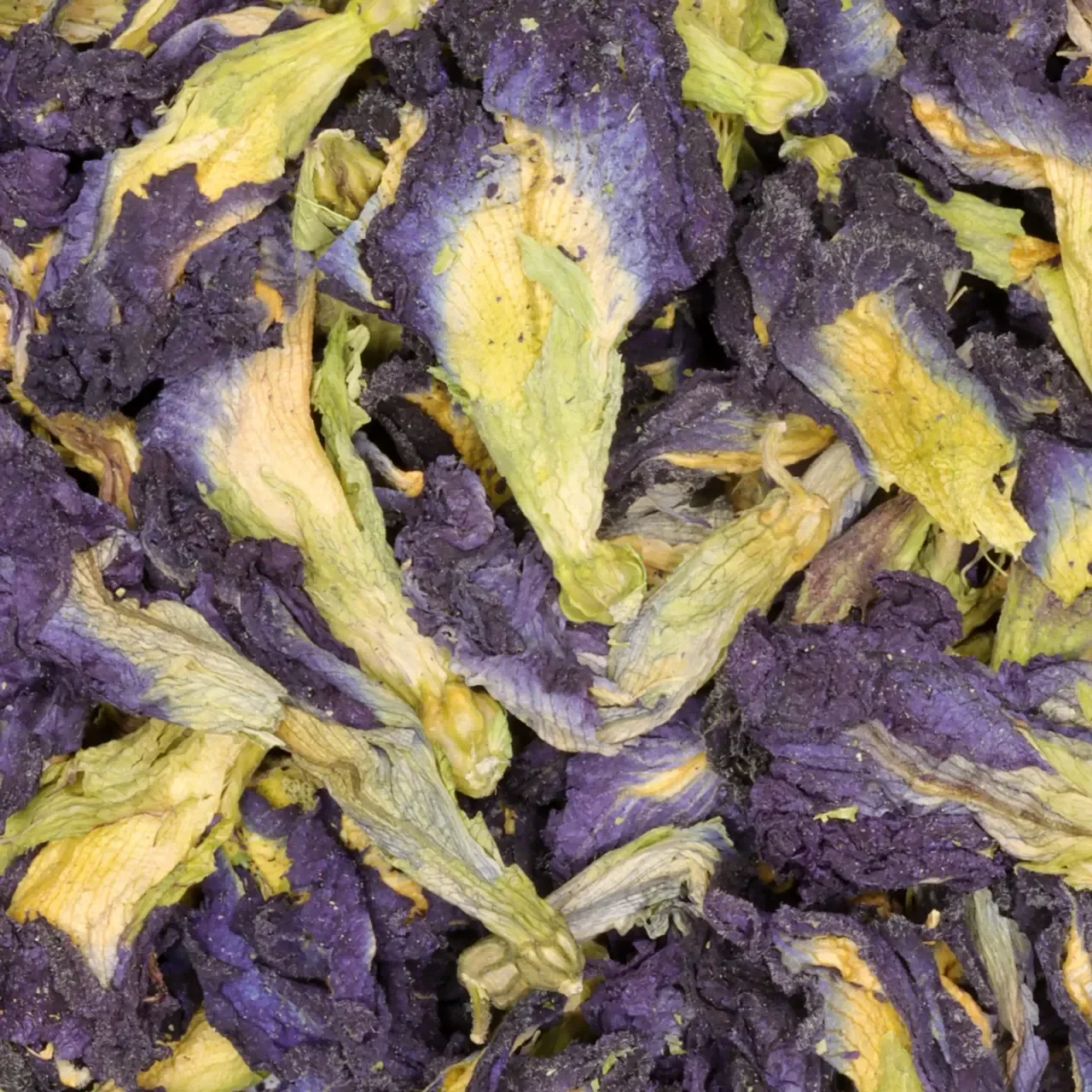 Butterfly Pea Flower