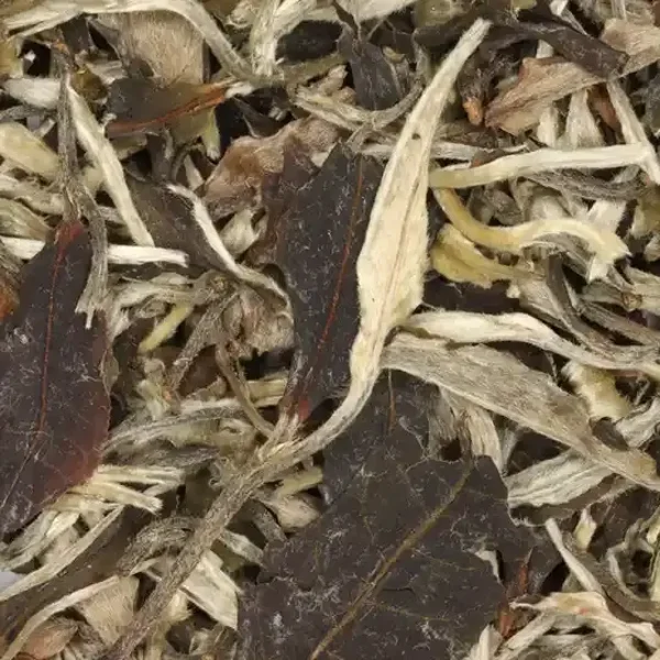 Yue Guang Bai "Moonlight White"