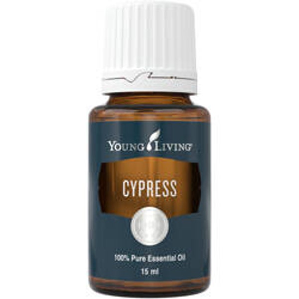 Cypress