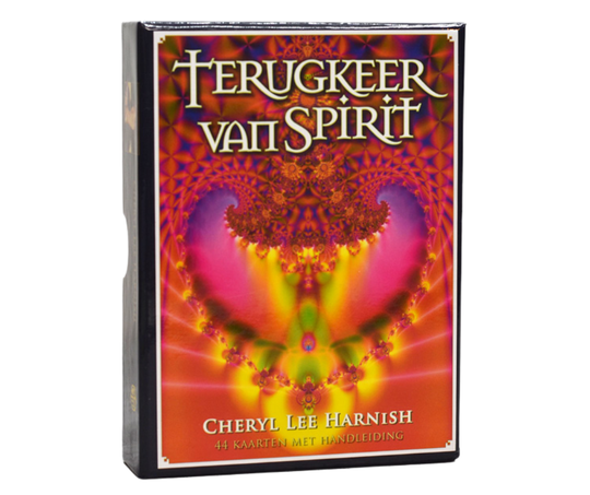 Terugkeer van spirit