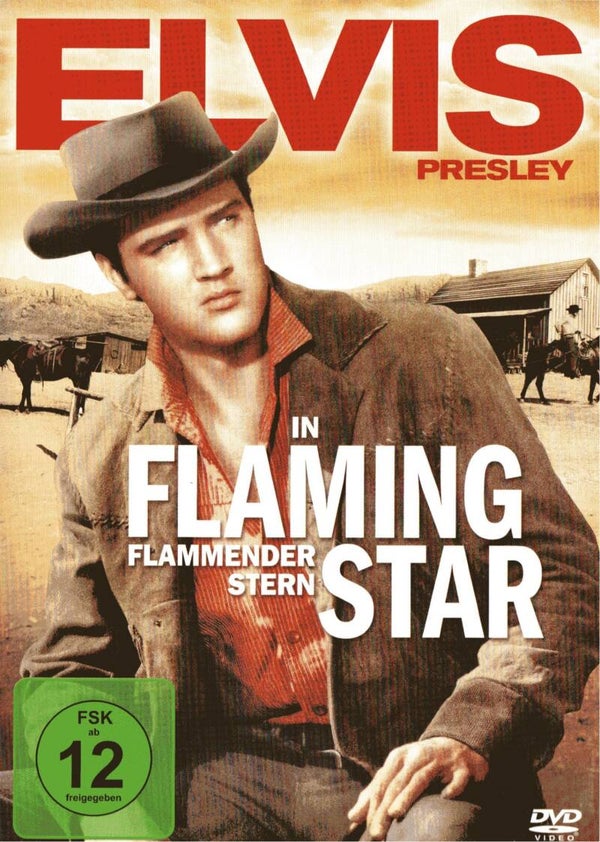 Elvis Presley - Flammender Stern (DVD)
