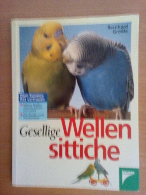 Gesellige Wellensittiche von Bernhard Größle