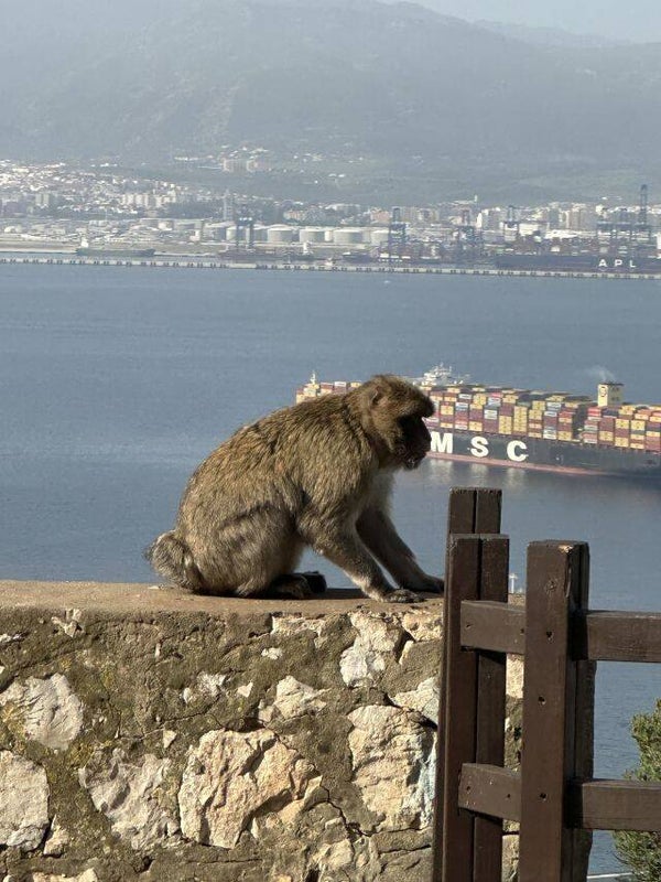 Gibraltar & Tarifa – 2 Tage zwischen Europa und Afrika 19.–20. Februar 2026