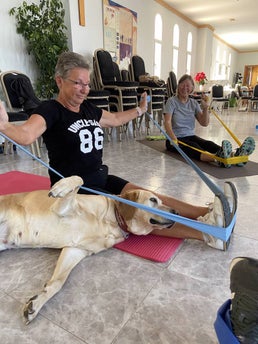 Spaß bei der Reha mit Hund in Roquetas de Mar