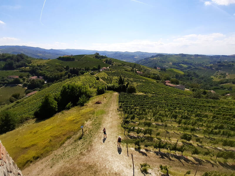 Villa Architetti met infinitypool in Piemonte voor 4 tot 14 personen