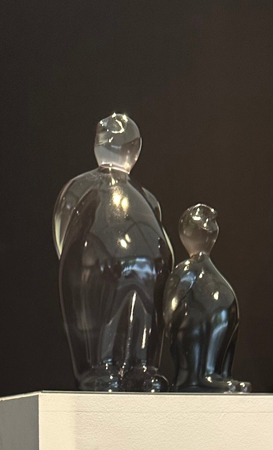 ilContento® Jr. IV Transparent