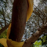 _6031720.jpg