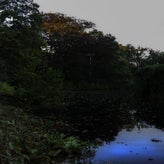 F45iso4001-50SEC-1.jpg