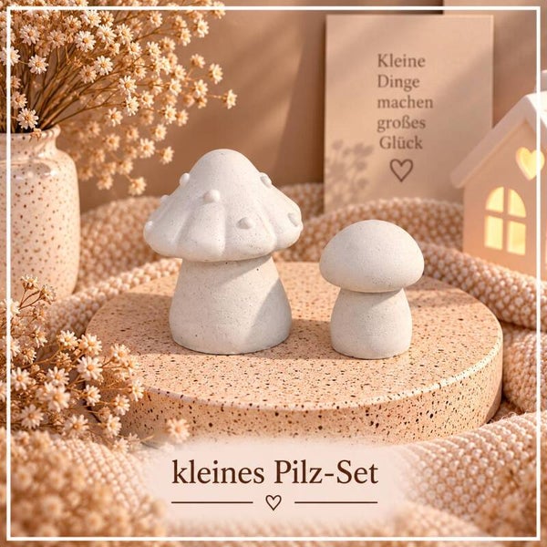 Kleines Pilz-Set