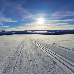 1000010326-standard.jpg