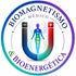 Bionergética y biomagnetismo médico