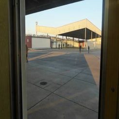 2014-berlin-11-standard-6wm7yc.jpg