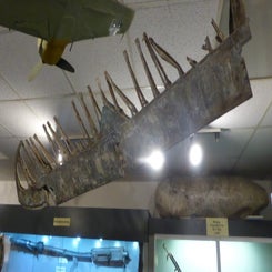 2016_4147-museum-vliegbasis-deelen-10-sept-standard-vcyh94.jpg