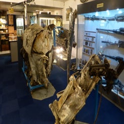 2016_4148-museum-vliegbasis-deelen-10-sept-standard-1yityf.jpg