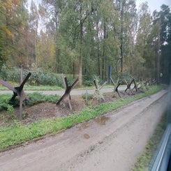 2024_3187-oorlogsmuseum-overloon-23-okt-standard.jpg