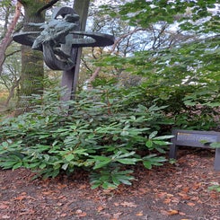 2024_3363-oorlogsmuseum-overloon-23-okt-standard.jpg