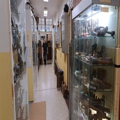 2025_2646-arnhems-oorlogsmuseum-1940-1945-standard-12j7d3.jpg