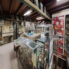 2025_2726-arnhems-oorlogsmuseum-1940-1945-standard.jpg