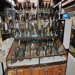 2025_2734-arnhems-oorlogsmuseum-1940-1945-standard-lalbcb.jpg