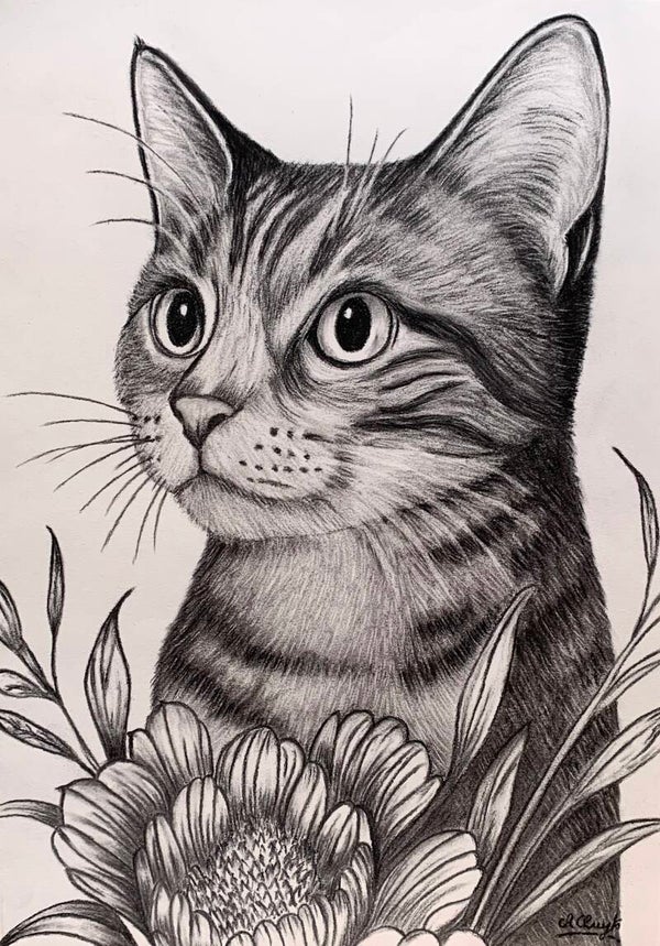 'Nieuwsgierige Ogen'