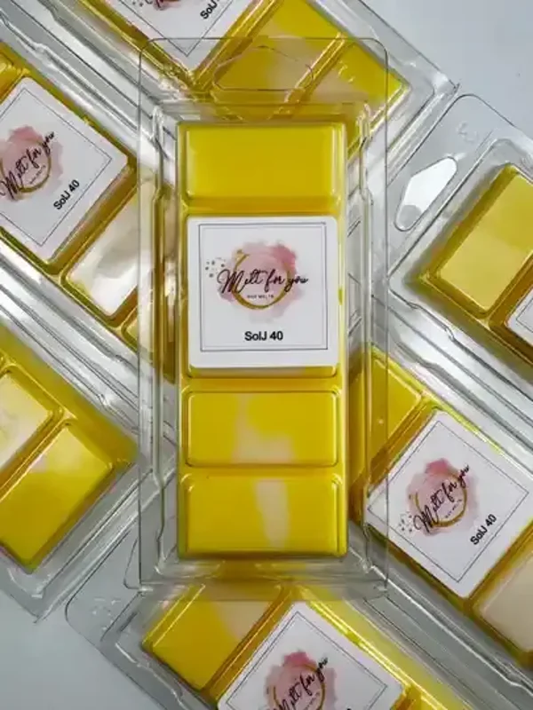 Sol J 40