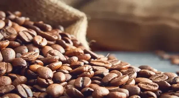 Café en grano